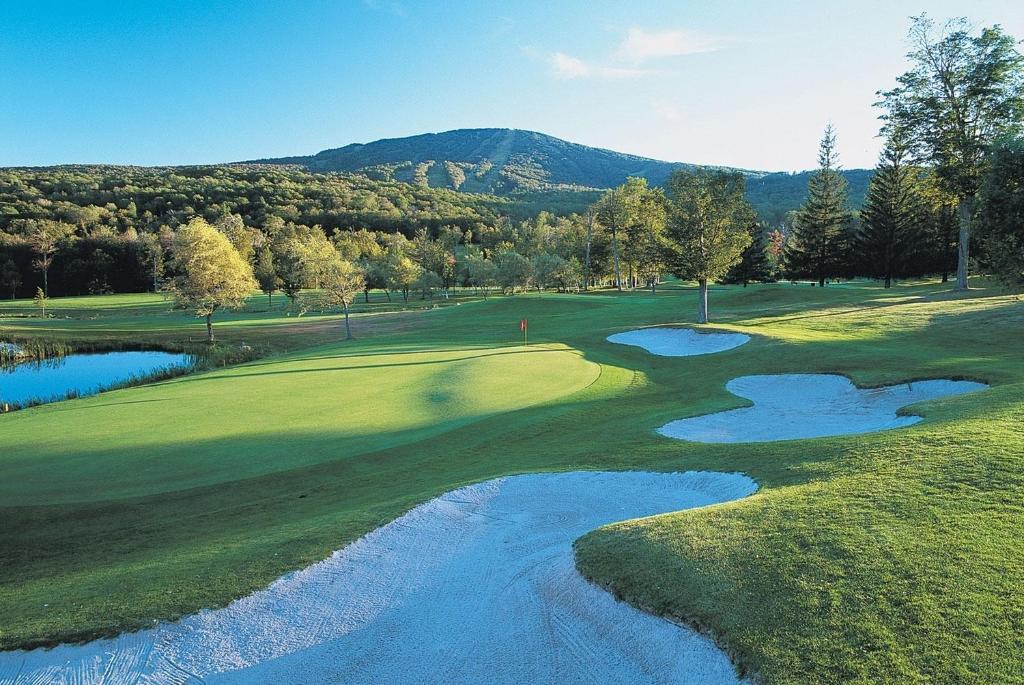 Long Trail House Condominiums At Stratton Mountain Resort Extérieur photo