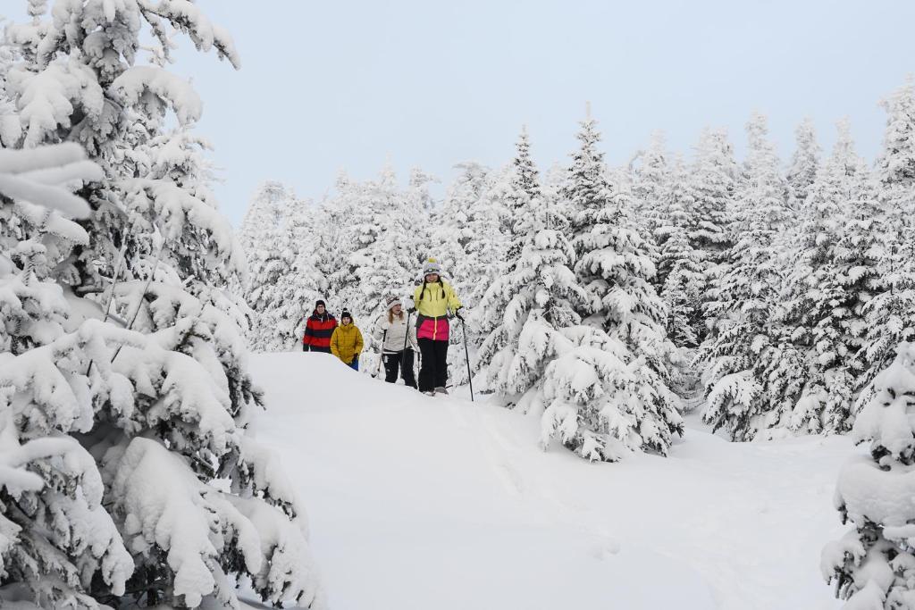 Long Trail House Condominiums At Stratton Mountain Resort Extérieur photo