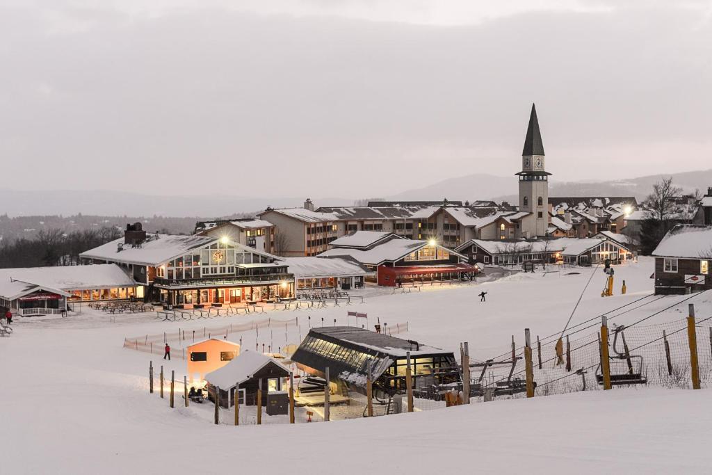 Long Trail House Condominiums At Stratton Mountain Resort Extérieur photo