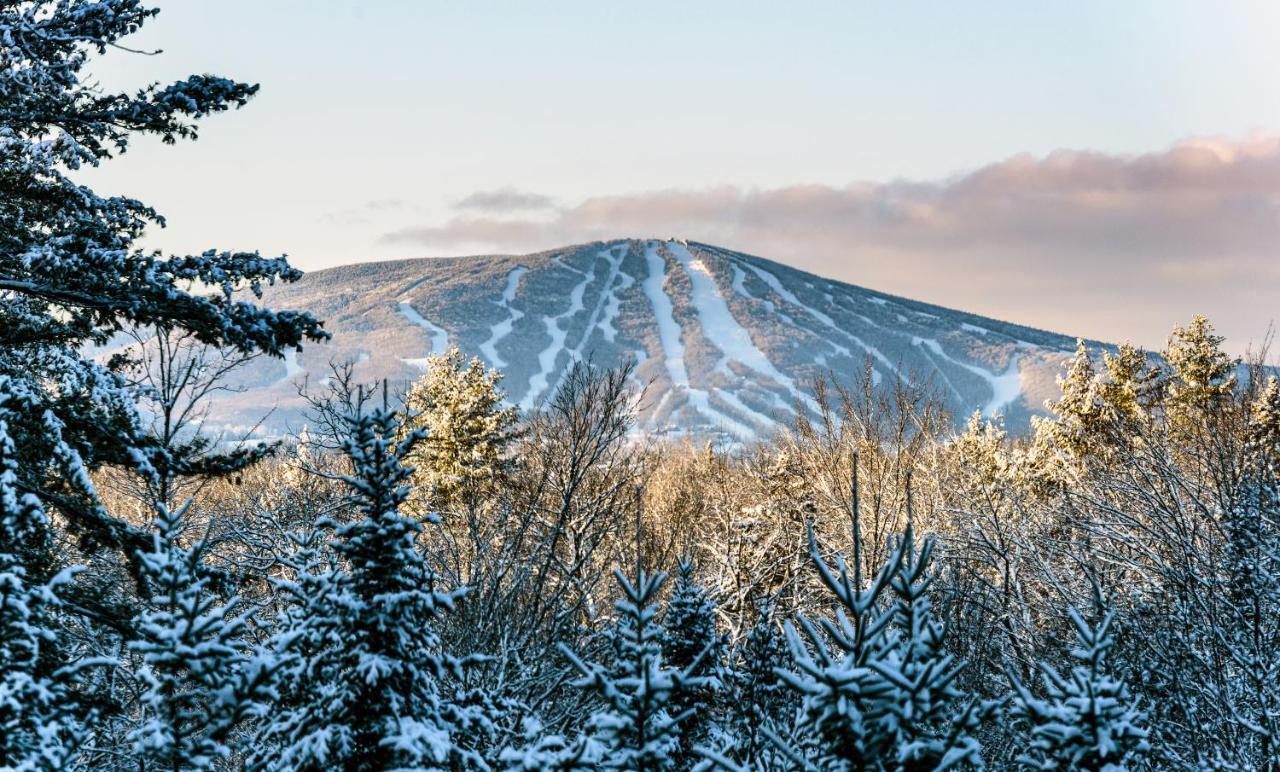 Long Trail House Condominiums At Stratton Mountain Resort Extérieur photo